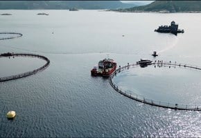 New technology in aquaculture
