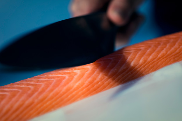 Aurora Salmon laks kuttes med kniv