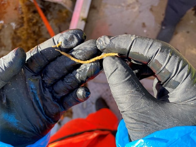 To hender med sorte hansker som holder på en  bit av et tynt bomullstau