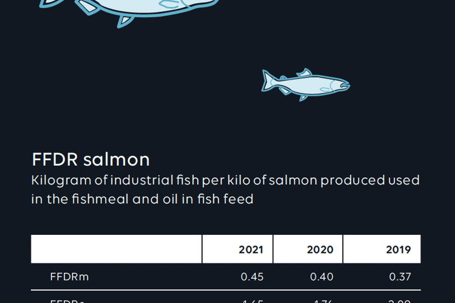 FFDR salmon illustration