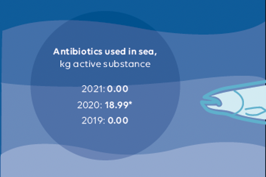 Antibiotics illustrated