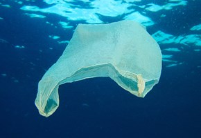 Cleaning up plastic in the sea